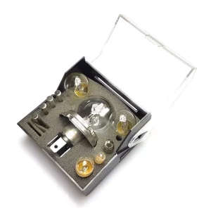 12V Europese gloeilampenset met glazen zekeringen - wit